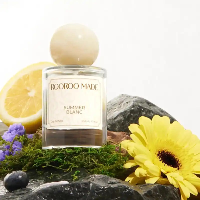 summer blanc dog perfume staged