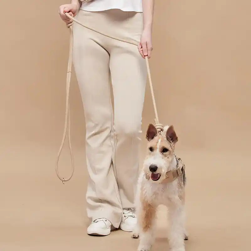 Woman wearing beige pants and white shoes holding tan rover leash with a schnauzer dog secured