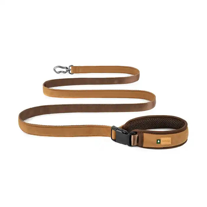 charlie's backyard town dog leash with padded handle in brown