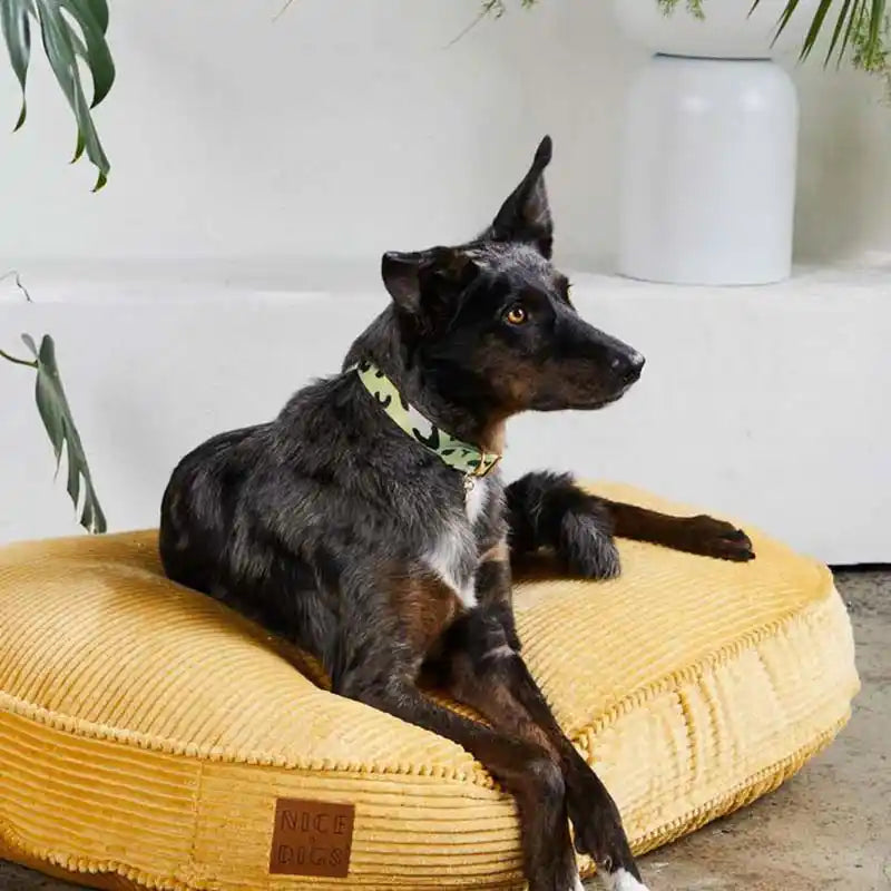 nice digs pistachio green hand-painted leather animal print dog collar