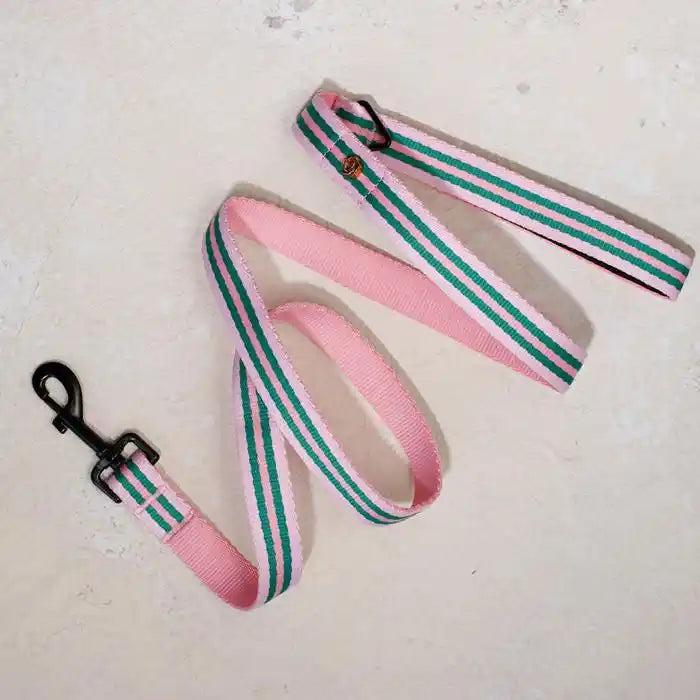 saint rue le classic leash - la rose