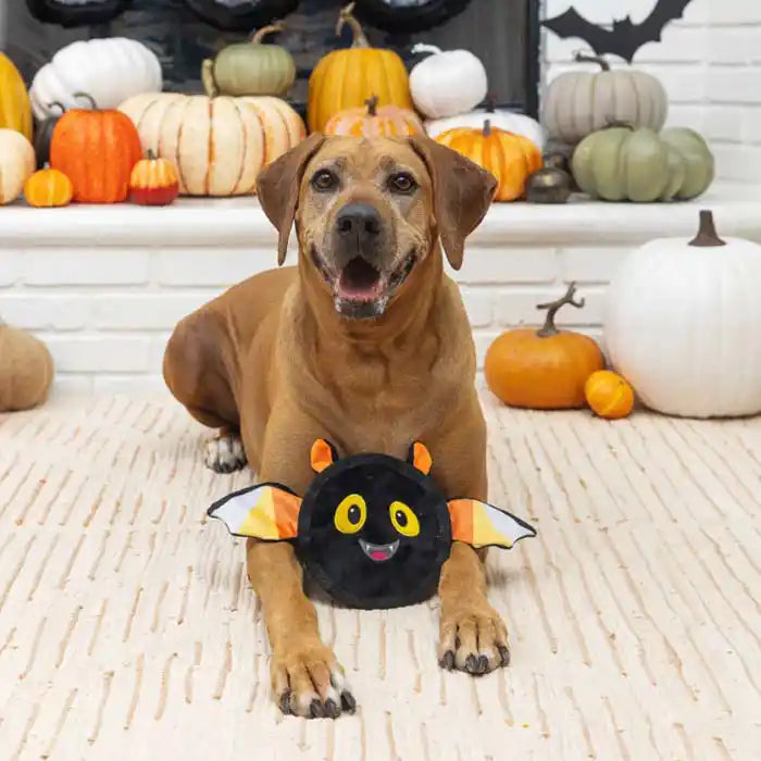 durable bat dog toy styled