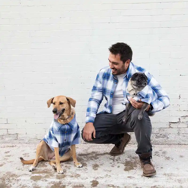 dog threads blue flannel shirt for pups + people styled