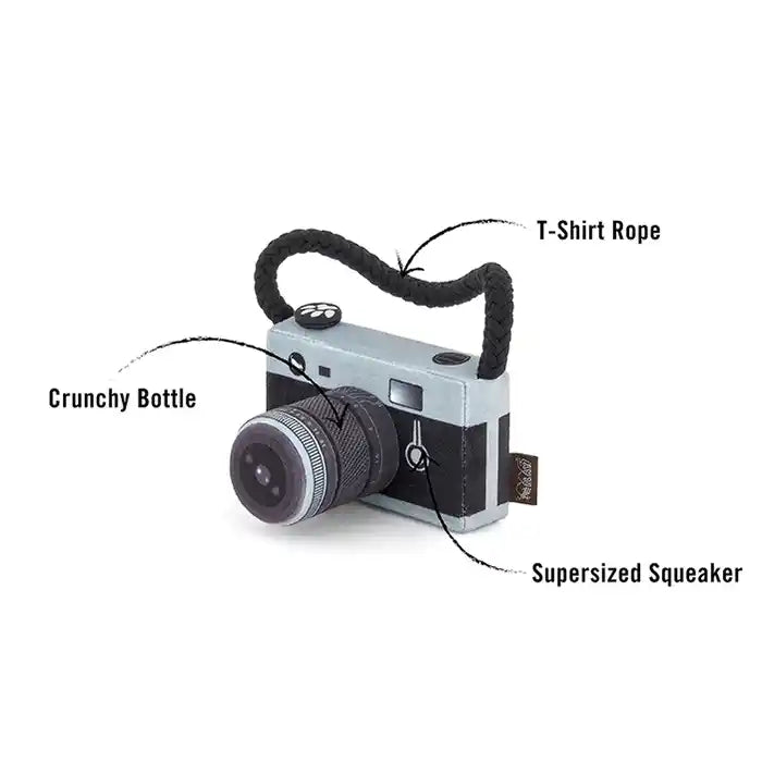 camera dog toy diagram