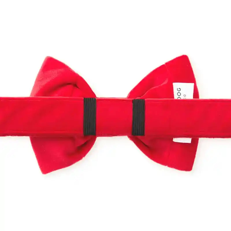 foggy dog cranberry red dog bow-tie