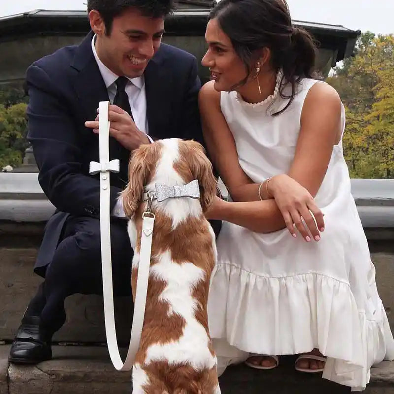 shaya david wedding dog collar lifestyle