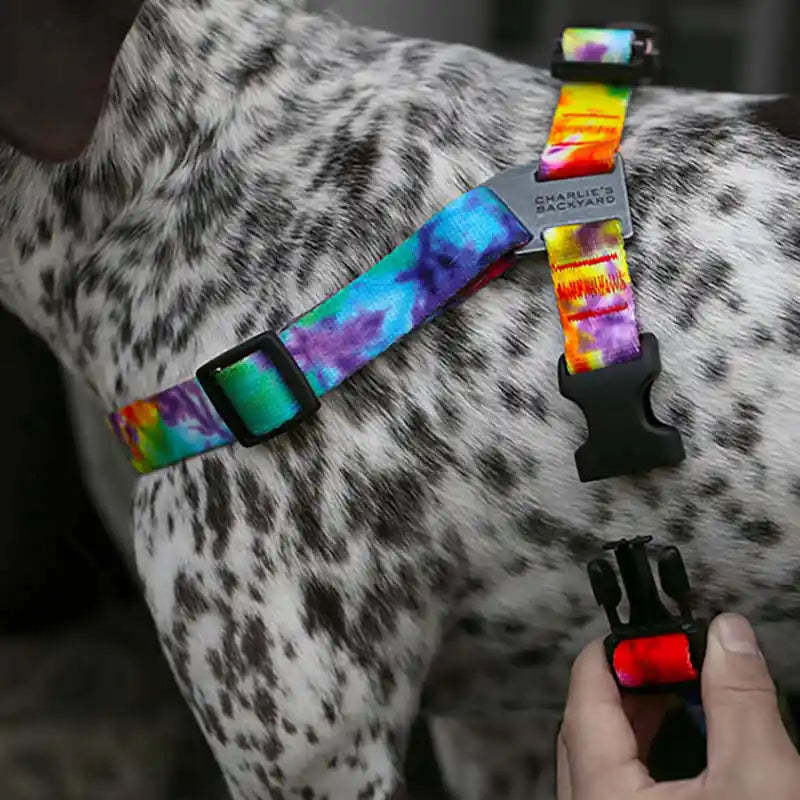 charlie's backyard tie-dye rover dog harness