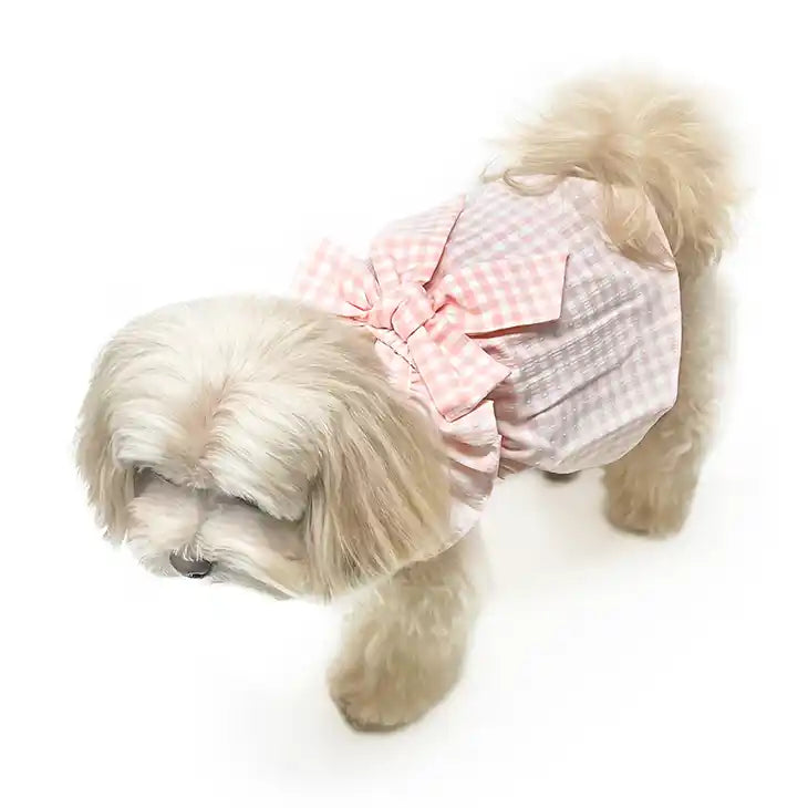 pink gingham dog dress styled showing back