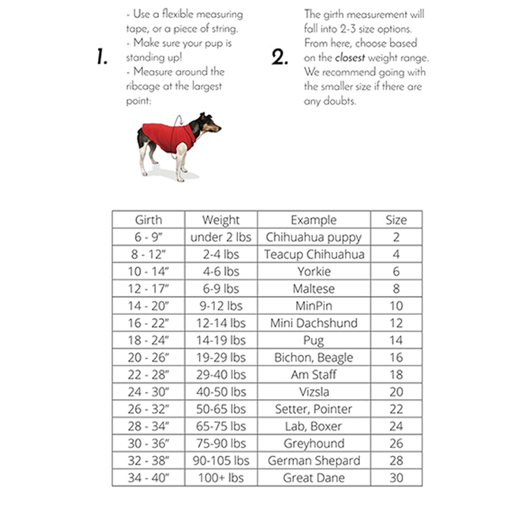 gold paw sun shield tee