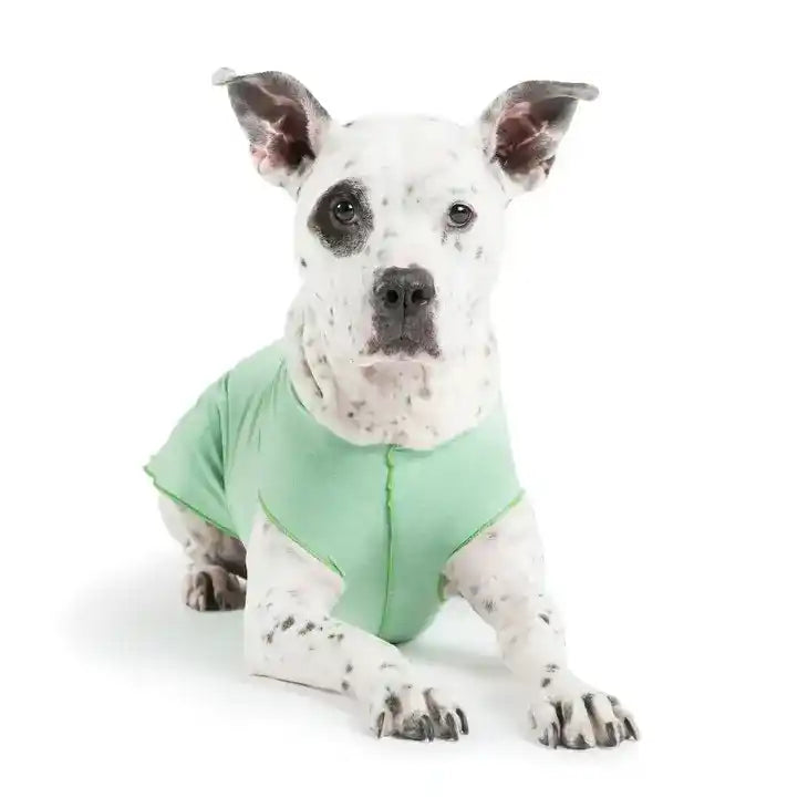 gold paw sun shield tee