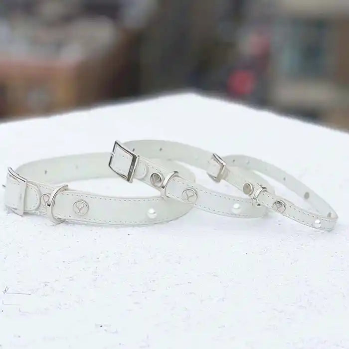 shaya jila pearl wedding dog collar sizes