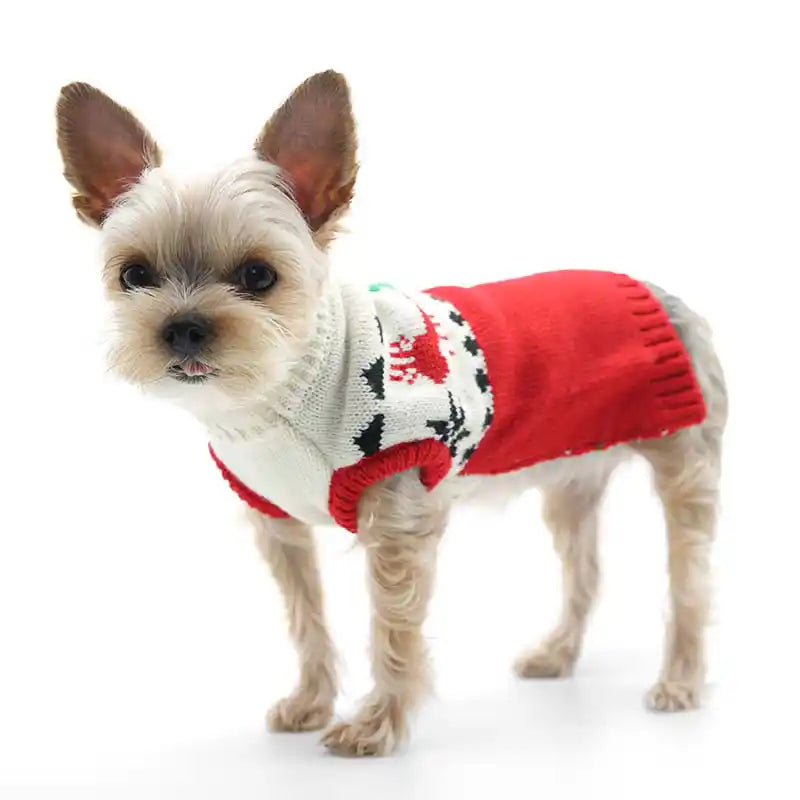 red apres ski style dog sweater dog