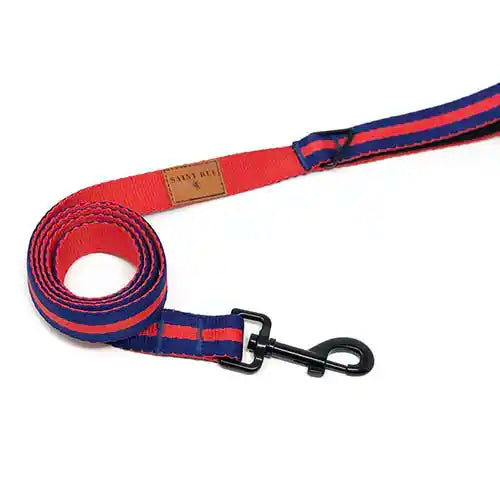 saint rue le classic leash - st honore