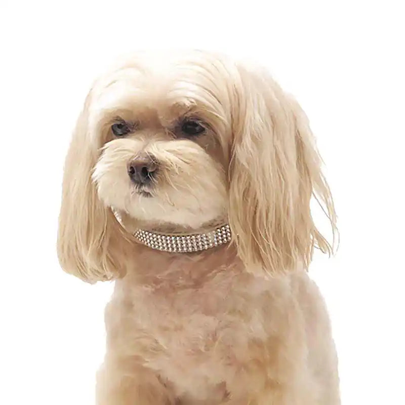 Susan Lanci 4 Row Swarovski Crystal Giltmore Pet Collar
