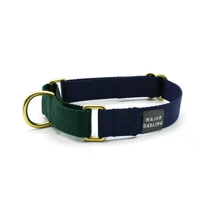 navy with evergreen martingale dog collar