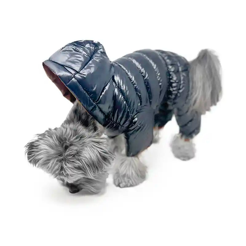 dog snow suit