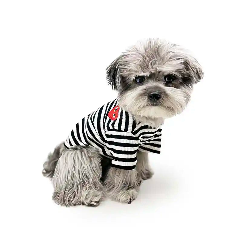 dog wearing black striped heart tee