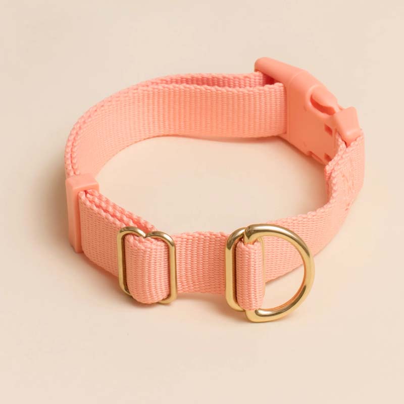 Awoo Peach Pack Collar