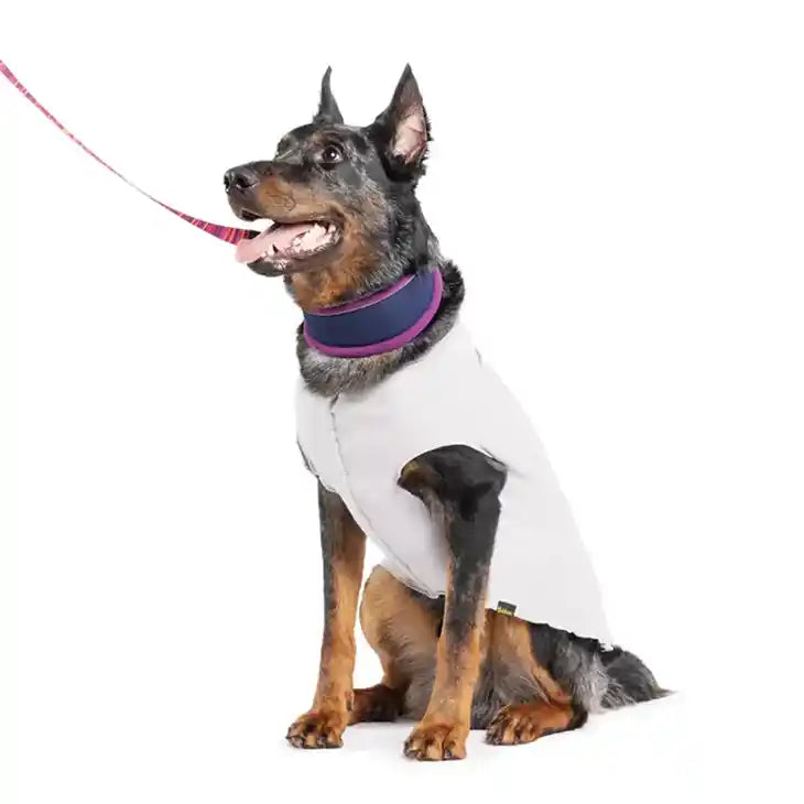 gold paw sun shield tee