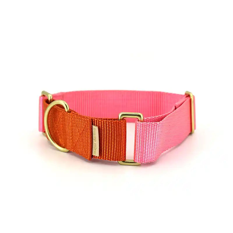 wide pink with orange martingale collar