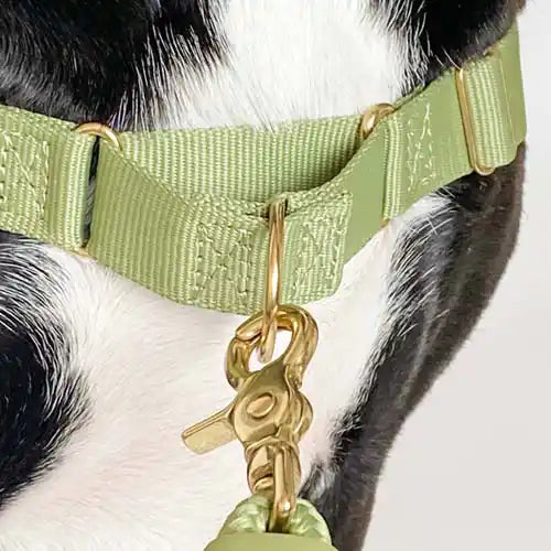 awoo roam no-pull / pull dog harness