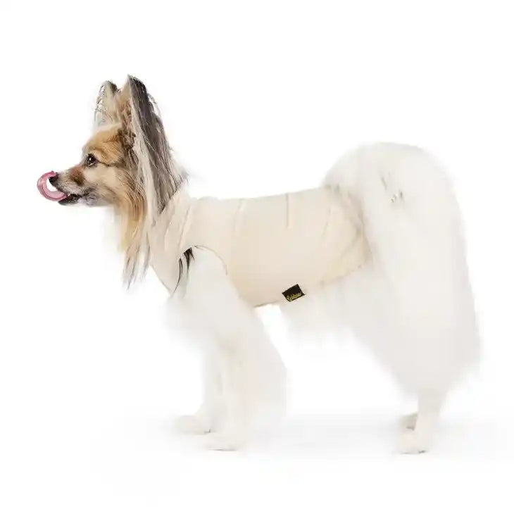 gold paw sun shield tee