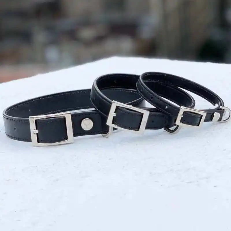 Shaya Luxury Taylor Dog Collar sizes - Vegan Canvas