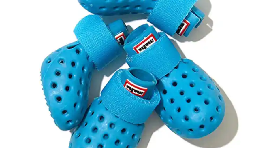 A pile of blue dog crocs