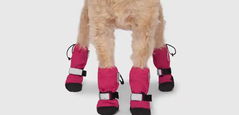 A close up of a dogs feet while wearing pink dog booties with reflective strips.