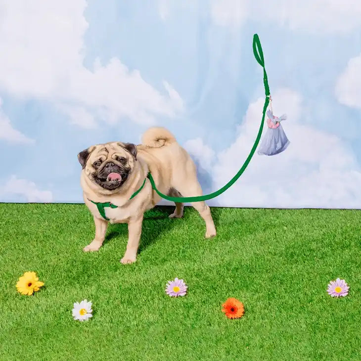 pug with poopsy daisy