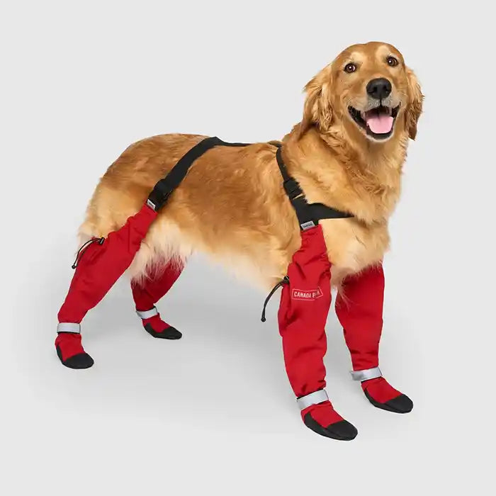 Dog Booties