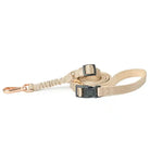 A dune colored dog leash with metal clip on a white background