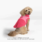 Dog wearing a pink fleece coat on a white background
