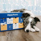 dog lying next to 8 nights of hanukkah toy box set