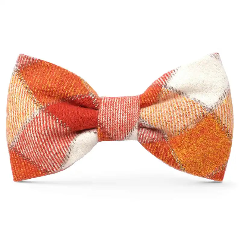 Orange plaid bowtie and matching leash set.