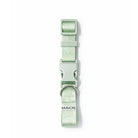 Amore Dog Collar in Mint Green laying flat