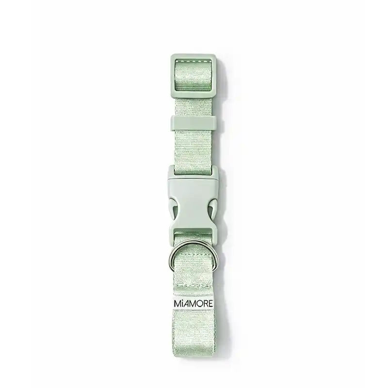 Amore Dog Collar in Mint Green laying flat