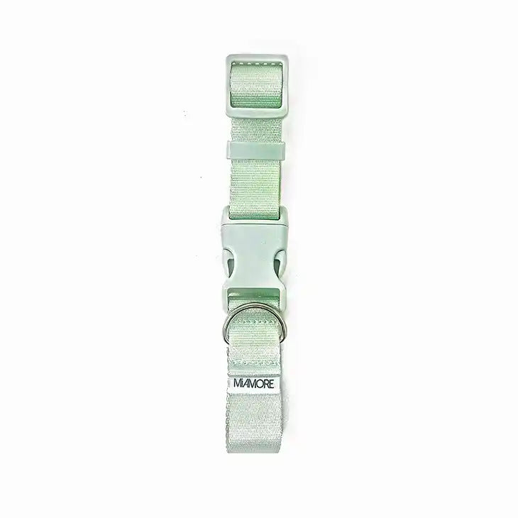 Amore Dog Collar in Mint Green laying flat