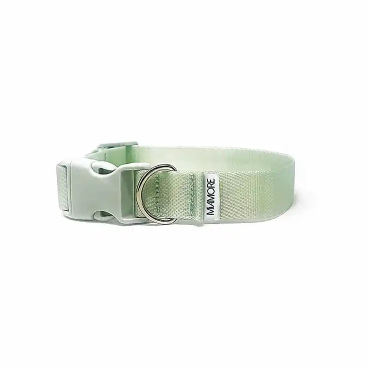 Amore Dog Collar in Mint Green upright