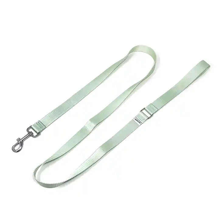 Amore Dog Leash in Mint Green