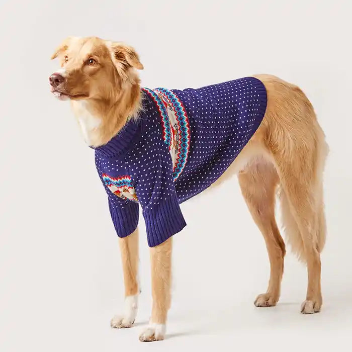 dog wearing gray malin hit slopes sweater