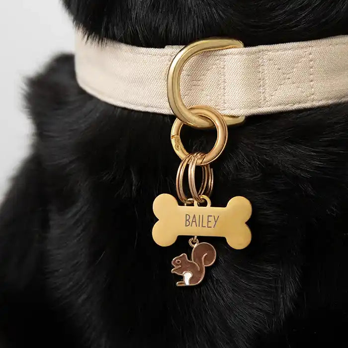 squirrel dog collar charm styled