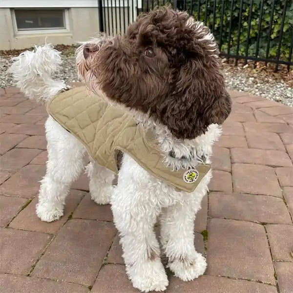 Up country diamond quilted dog coat