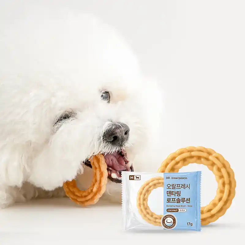 White fluffy dog chewing a Dentaring Rope Brush Coconut dental chew ring