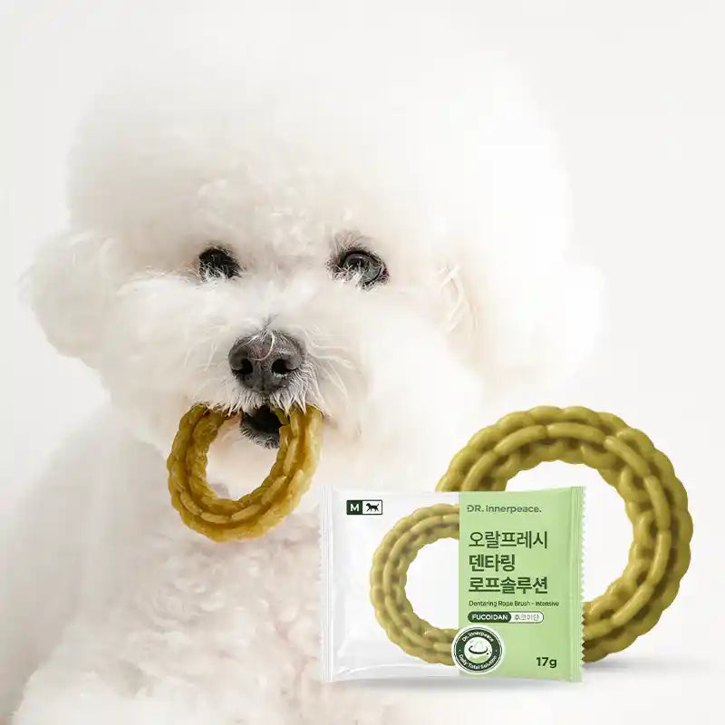 White fluffy dog holding a Dentaring Rope Brush Fucoidan in mouth