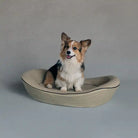 Corgi sitting in a grey pencil striped pet bed on a grey background