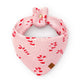 Candy Canes Knit Dog Bandana