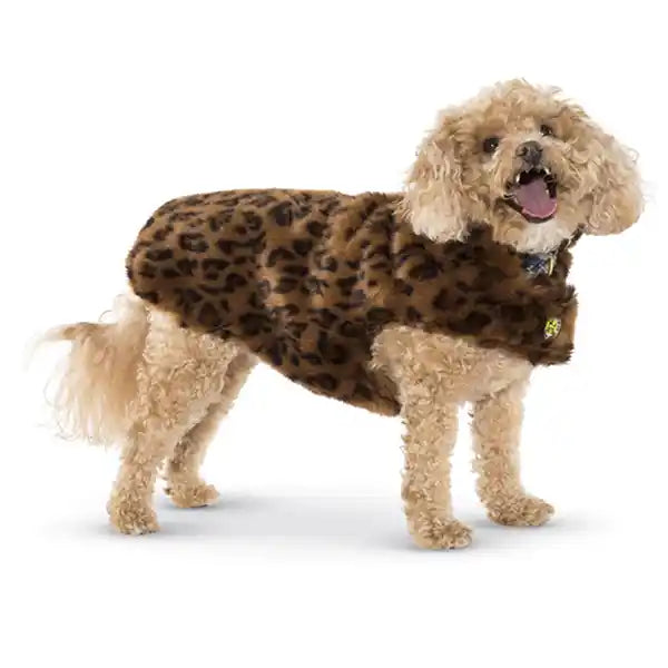 dog wearing up country faux fur leopard dog coat