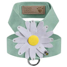 mint daisy tinkie dog harness 
