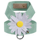 mint daisy tinkie dog harness 